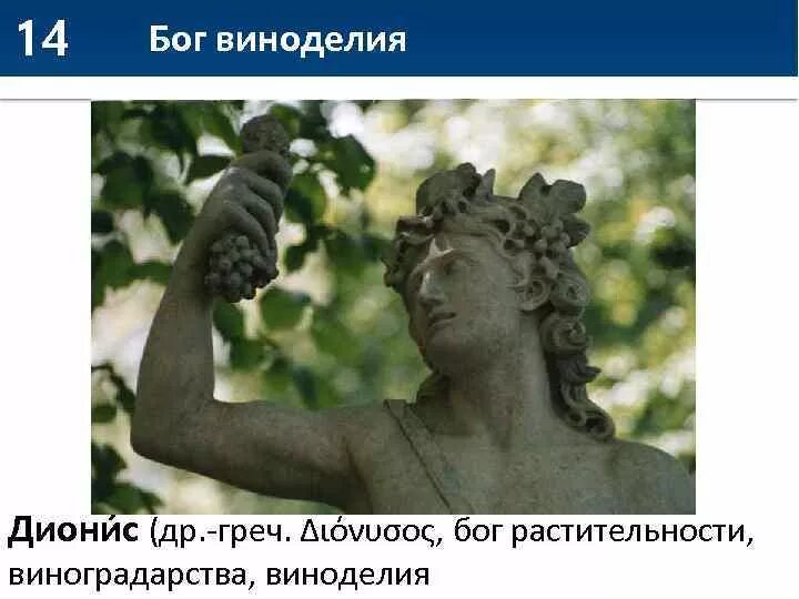 Дионис бог виноделия. Дионис бог виноделия. Дионис бог древней греции атрибуты. Дионис бог древней греции. Дионисий бог виноделия.