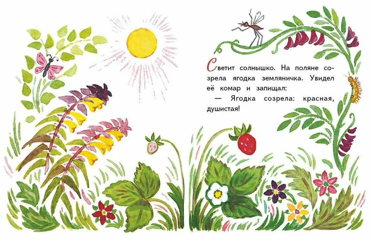 земляничная фея. нина павлова земляничка. владимир жданов летний натюрморт. в п катаев дудочка и кувшинчик. земляничка павлова нина михайловна.