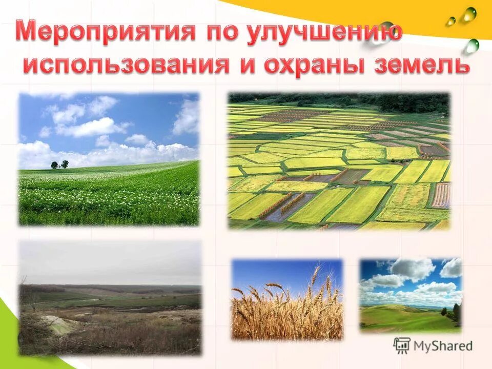 мероприятия по улучшению охраны земель