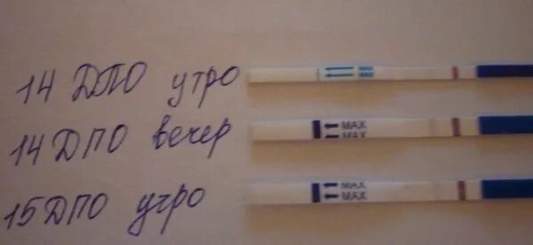 Два теста отрицательные месячных нет. Задержка 2 дня тест отрицательный. тест на беременность на 2 день задержки отрицательный. если задержка месячных а тест отрицательный. задержка месячных 2 дня.