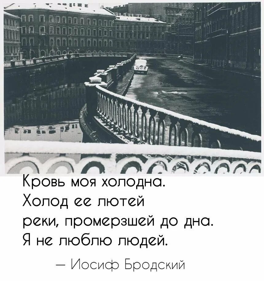Холодный город в мае меня не понимает. Стихи про питер бродский. Это сибирь детка. Самый холодный город на земле. Холодный город в мае меня не понимает.