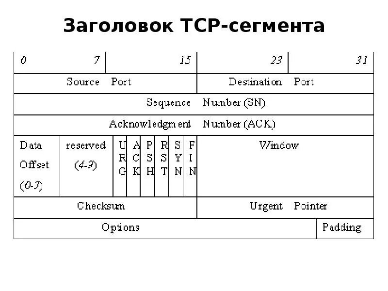 Структура заголовка. Структура tcp пакета. заголовок сегмента tcp. структура заголовка tcp. заголовок пакета tcp.