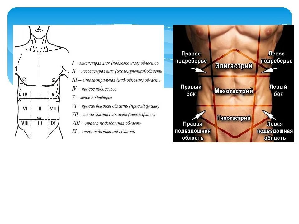 Левая подреберная и эпигастральная область. Эпигастральная правая подвздошная область. Эпигастральная подложечная область болит. Что такое эпигастральная область желудка у человека.