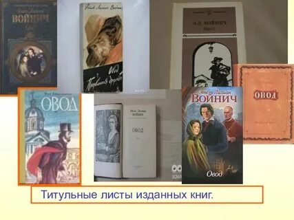 Овод читательский дневник