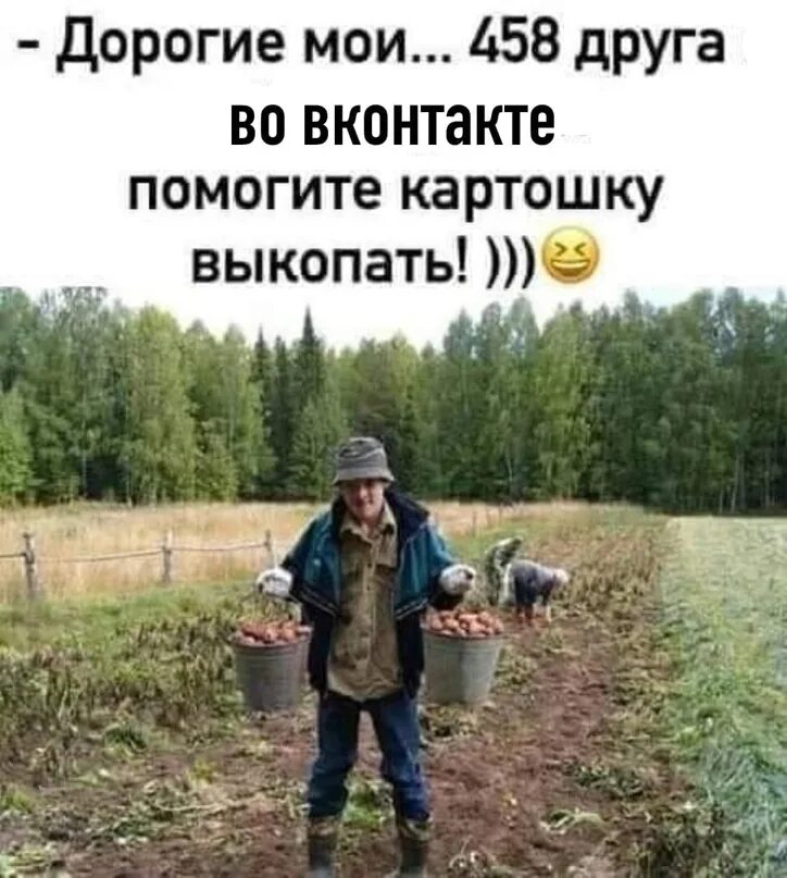 Выкапывай выкапывай его я тебя умоляю дзен