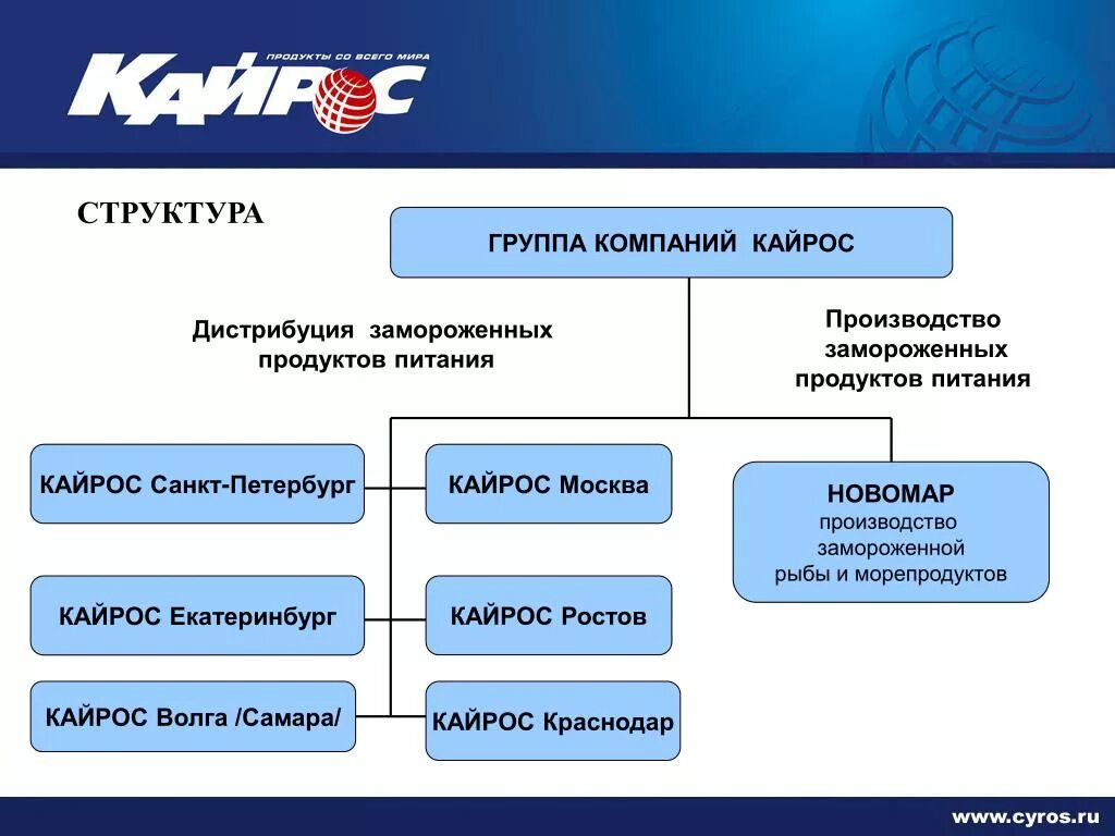 Сайт организации группа. Структура группы компаний. Структура дистрибуции. Структура компании дистрибуция. Структура системы дистрибьюции.