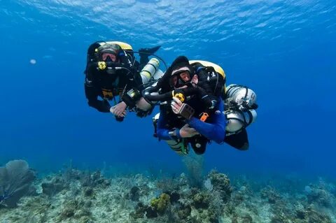 Dive