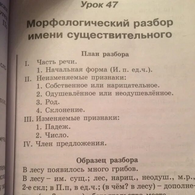 Разбор слова первая 3. Морфологический разбо слова. Морфологический разбор слова ели. Разбор слова морфологический разбор слова. Морфологический анализ слова.