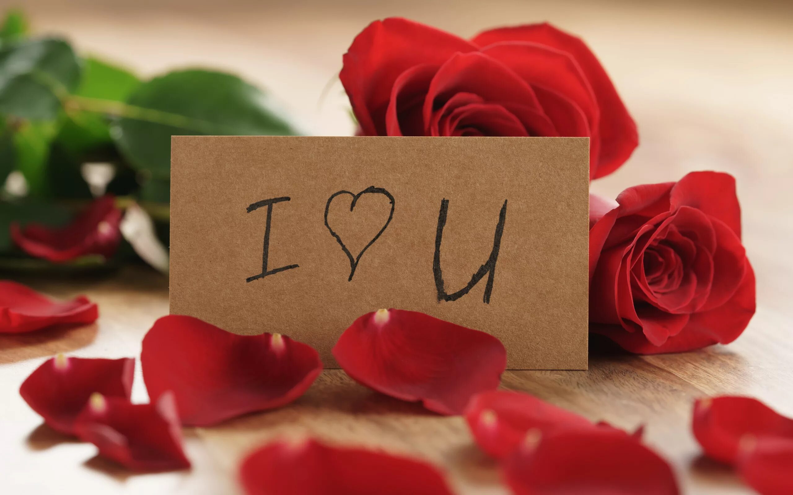 L love this. I love you картинки. i love you розы. i love you лепестками роз.