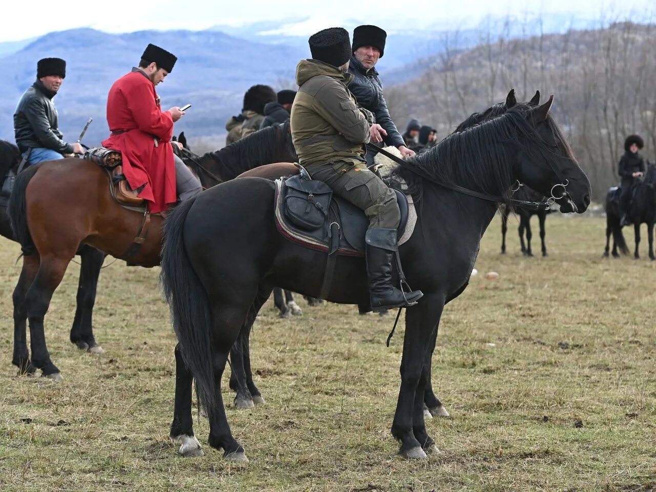 Черкесская лошадь. Карачаево-Черкесская лошадь. Карачаево-Черкесская порода лошадей. Карачаевская порода лошадей. Черкесская порода лошадей.