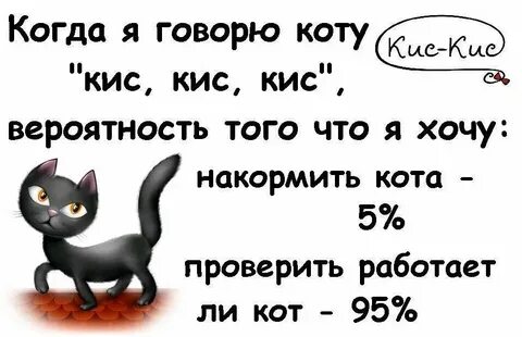 Я котик самбука текст