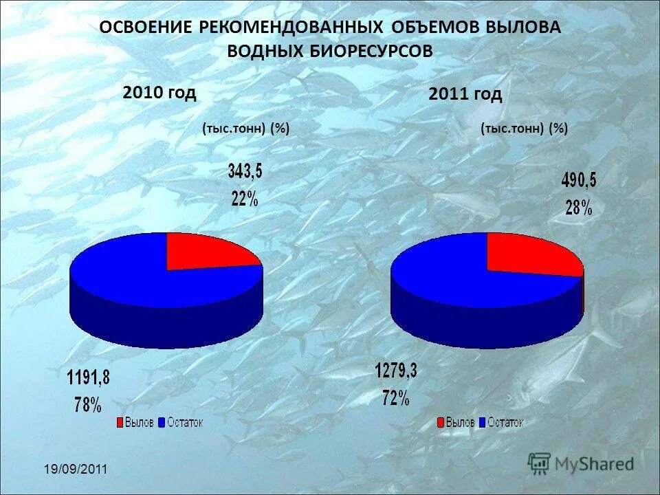 главные районы рыболовства. охрана рыбных ресурсов. сельдеобразные промысел. добыча водных ресурсов в россии. добыча водных биологических ресурсов за 2021 год.