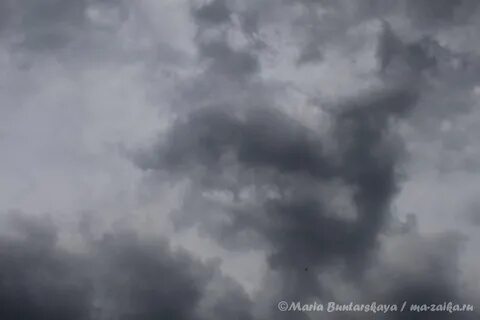 Осень серое небо низкие тяжелые облака