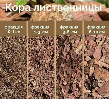 Сколько коры на квадратный метр