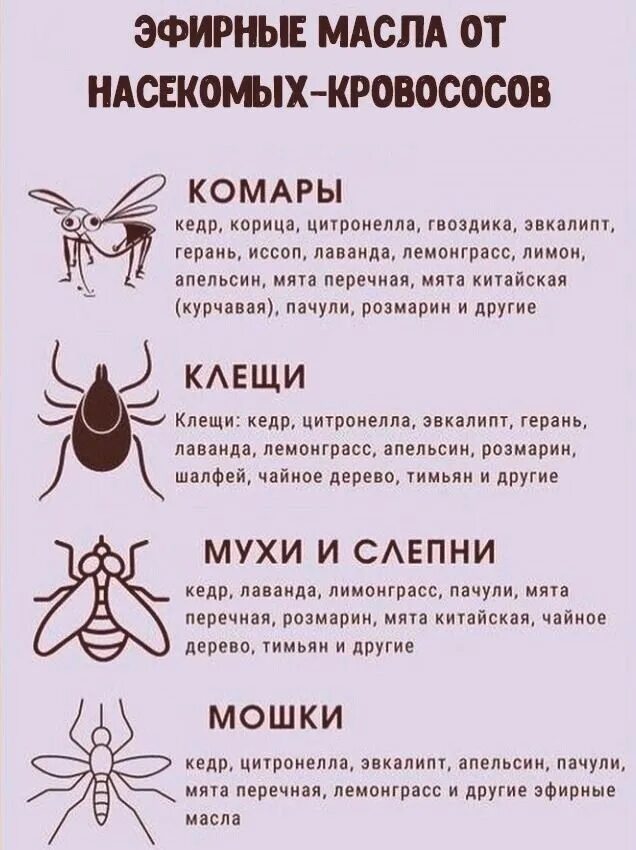 Запах отгоняющий мух