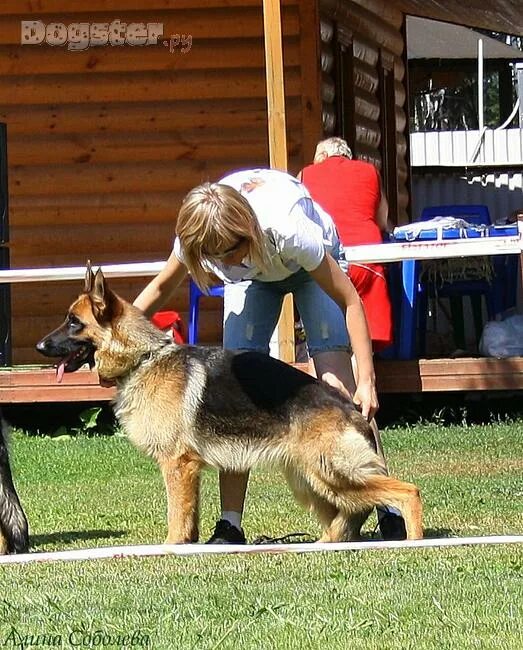 ай нот перевод. происхождение назия нот. названия нот происхождение. что означают названия нот. обозначения на нотном стане для пианино.