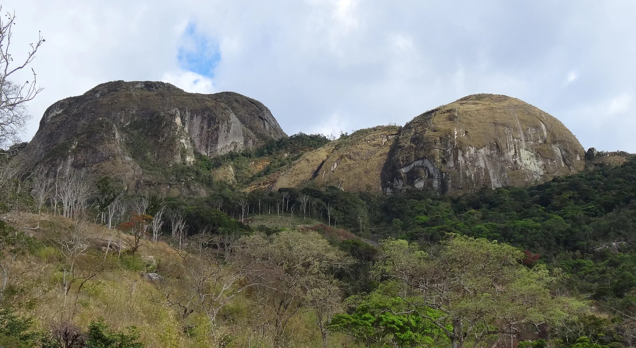 инзельберг. лес на горе лико в мозамбике. гора лико мозамбик. гора бинга мозамбик. горы намули мозамбик.