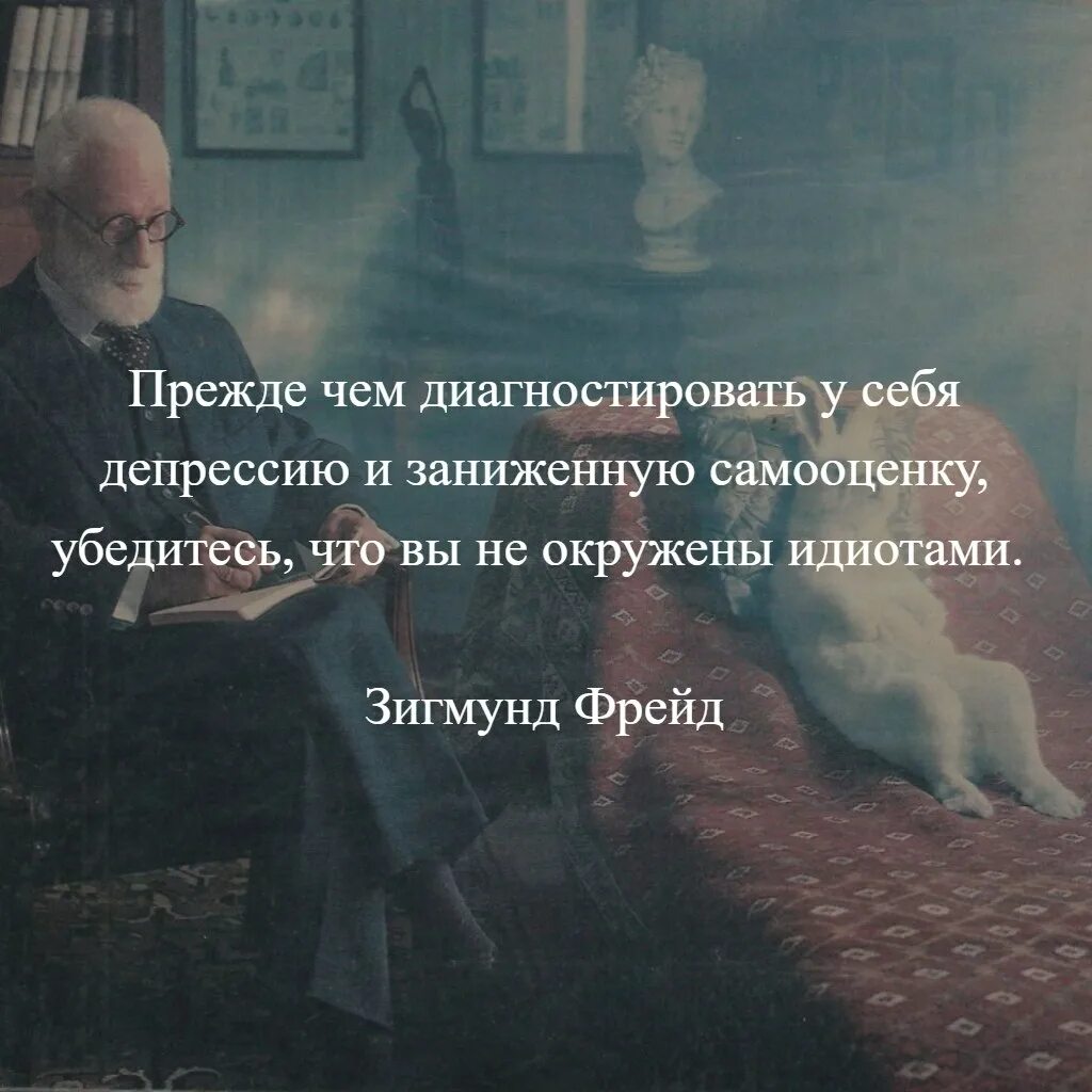 Прежде чем диагностировать депрессию и заниженную самооценку. Цитаты про самооценку. Прежде чем диагностировать у себя. Мудрые мысли о самооценке. Как ведет себя придурок