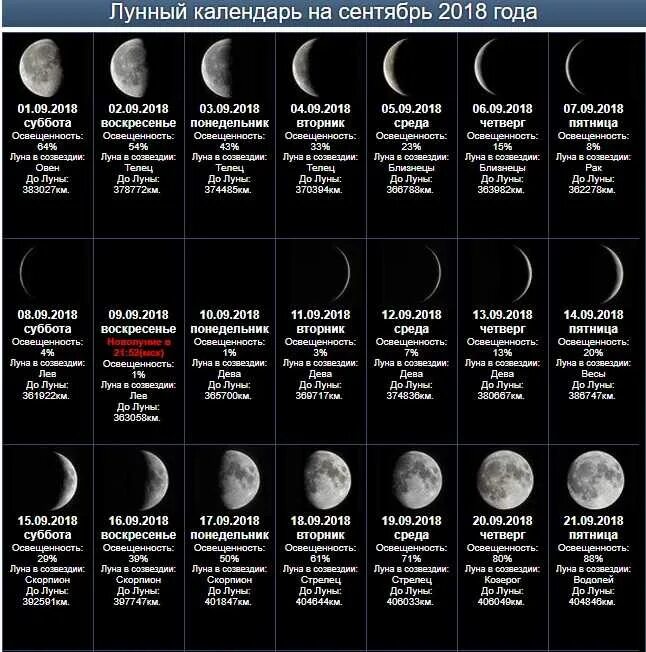 Лунные сутки в часах. Луна 2022 году по месяцам таблица. Фазы Луны таблица астрономия. Фаза Луны название фазы Луны таблица. Фазы Луны за месяц.