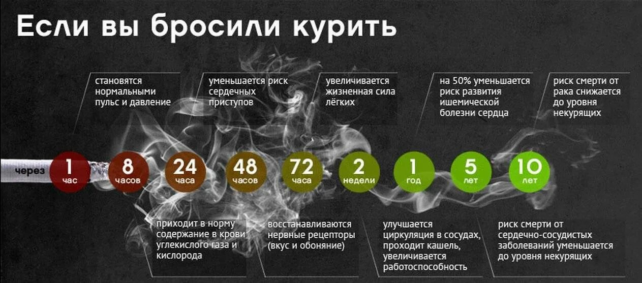 Сколько лет обновляется
