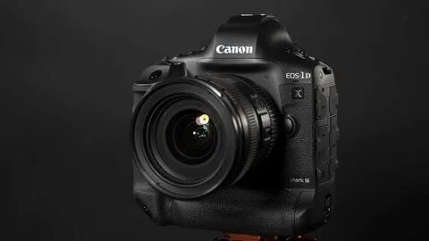 Canon 1dx
