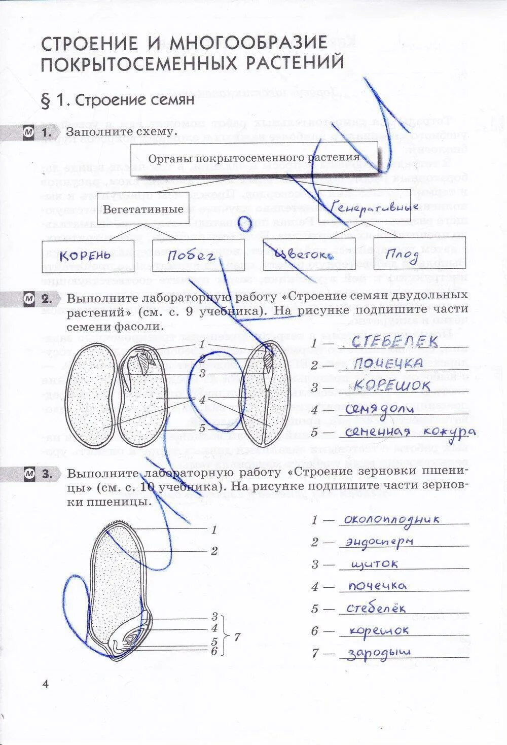 Тетрадь тест по биологии 6 класс Пасечник с ответами. Биология 6 класс Пасечник 2023. Биология 6 кл Пасечник.