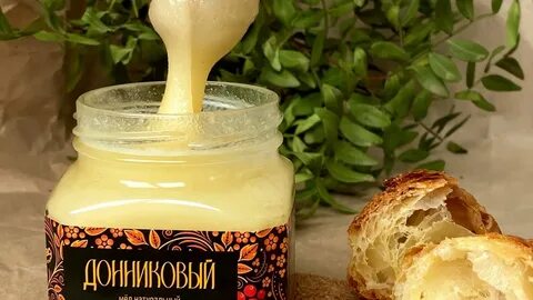 Полезные свойства донникова меда