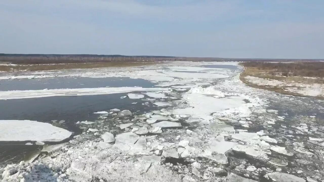 Где находится голова томи