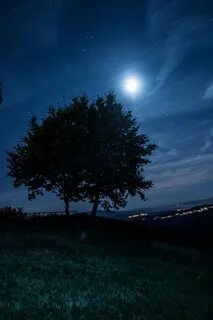 Nocturna night stars long exposure estrellas noche SKY CIelo.