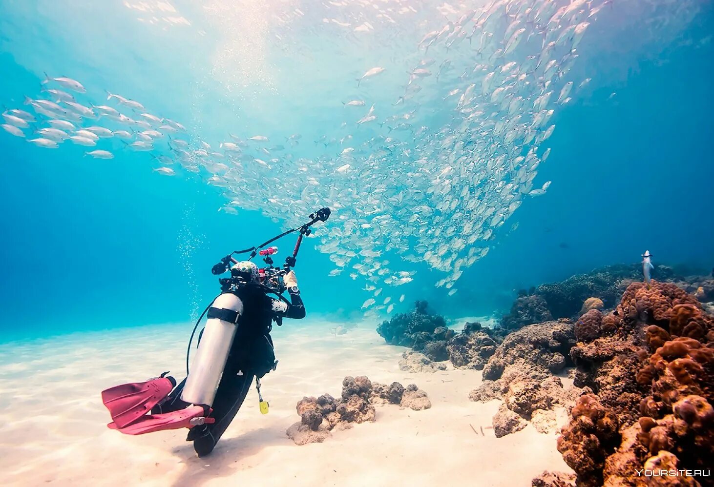 Reef tourism. Фуджейра дайвинг. Дайвинг Фуджейра эмираты. Экстремальный туризм дайвинг.