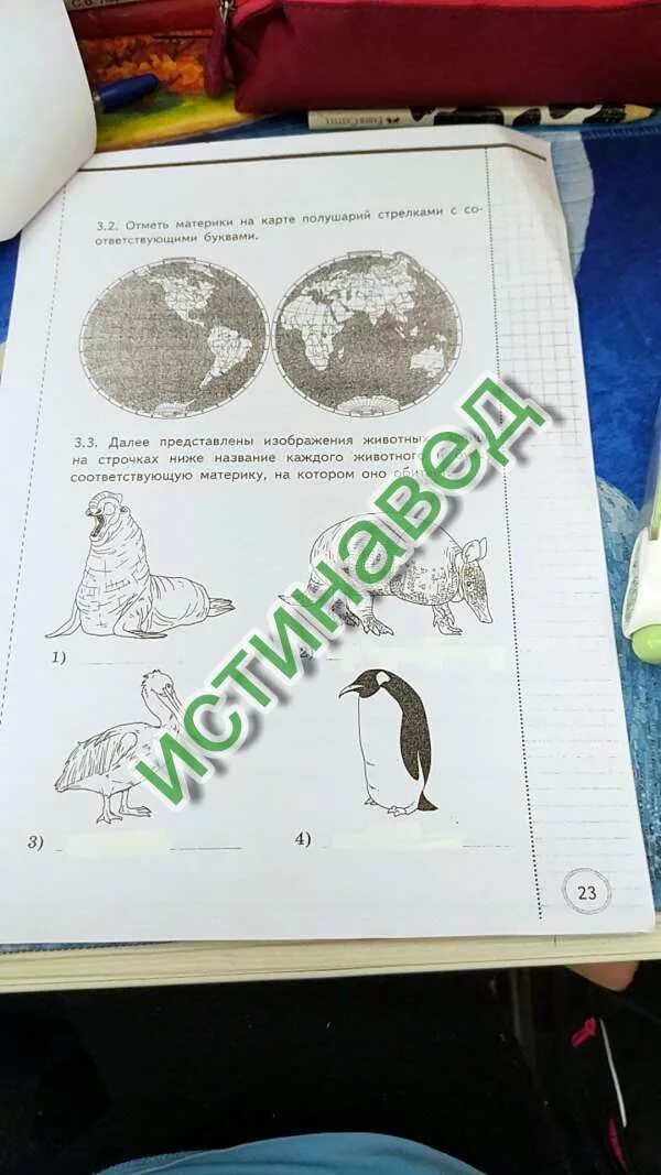 Далее представлены изображениями. Далее представлены изображениями