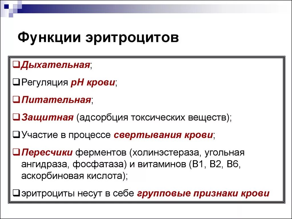 5 функция эритроцитов