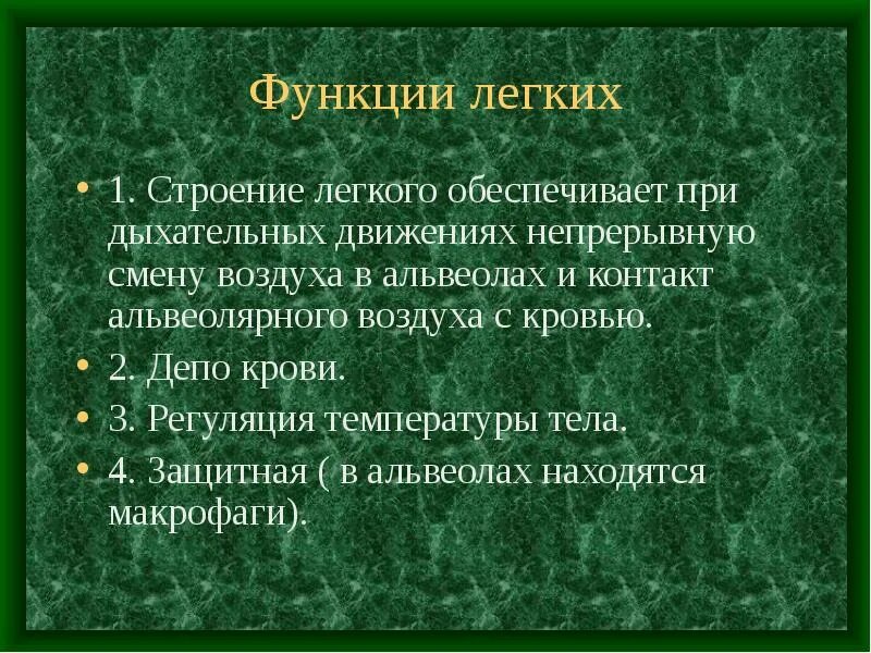 Какие функции легких. Какие функции легких