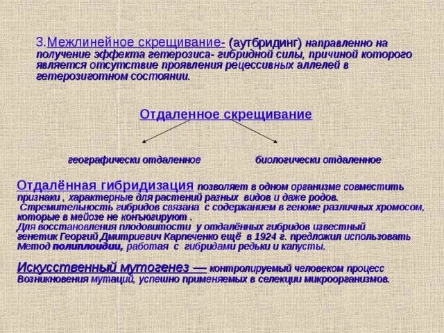 Как получить эффект возвращения. Как получить эффект возвращения