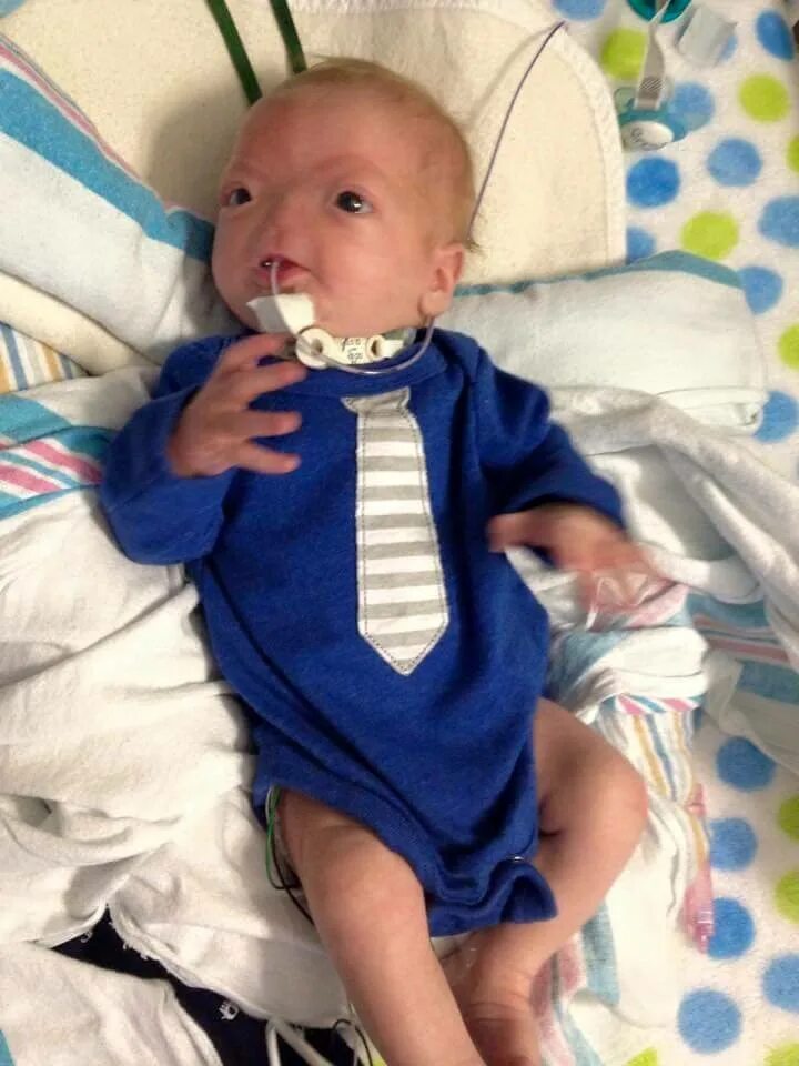 Какой малыш единственный. Смешные картинки малышей. Новорожденные мальчики. Текст про котопеса. Памятник клизме иноземцево.