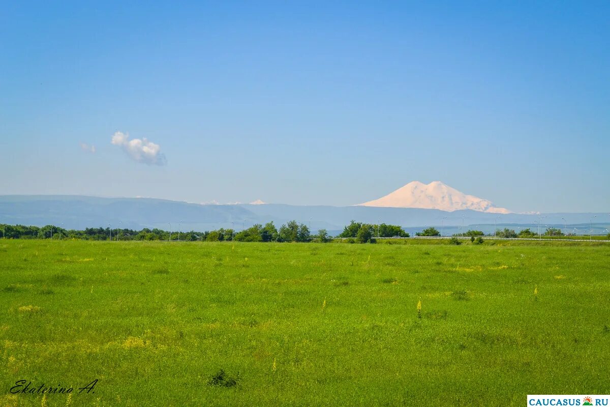 на полях шарыповского района. какая поверхность в краснодарском крае. равнины краснодарского края. равнины северного кавказа. кавказский биосферный заповедник майкоп.