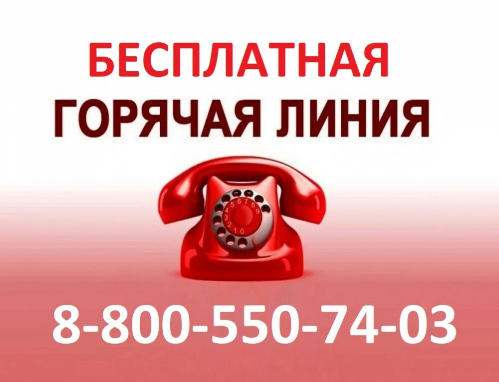 Горячая линия. Телефонигорячей линии. Волгоград горячая линия. Горячая линия аэропорт омск. Номер горячей линии омска.