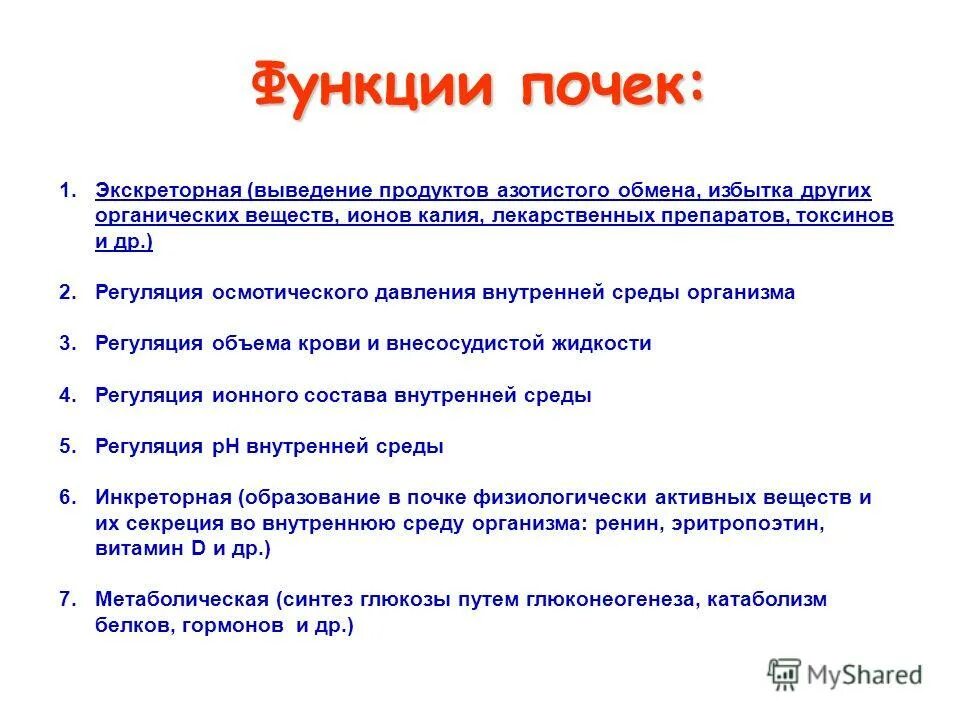 Каковы функции почек. Функции почек в организме человека кратко. Почки в организме человека выполняют функции:. Функция почек у человека кратко и понятно. 1. Перечислить функции почек..