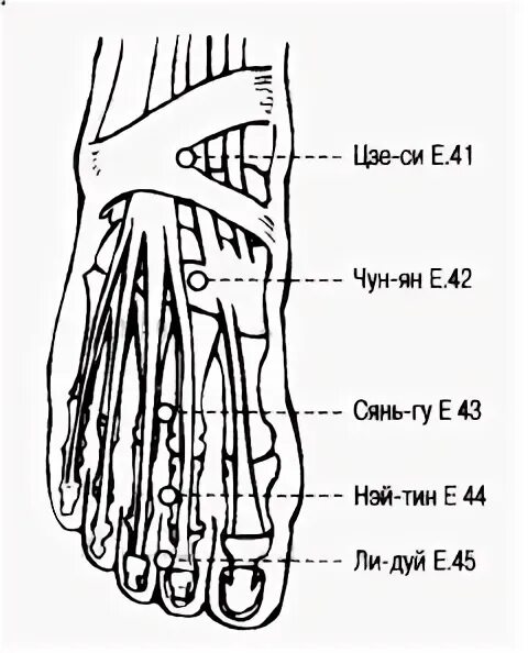 Точка тин. Точка е41 Цзе-си. Цзе си точка акупунктуры. E 44 точка акупунктуры.