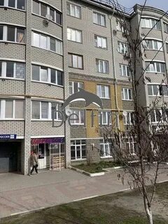 Ул раздобаркина белгород
