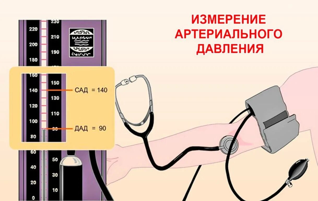 Измерение артериального давления механическим тонометром. Измерение артериального давления механическим тонометром алгоритм. Алгоритм измерения давления механическим тонометром. Измерение ад. Мерить давление механическим тонометром.