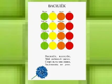 Василек василек мой любимый цветок