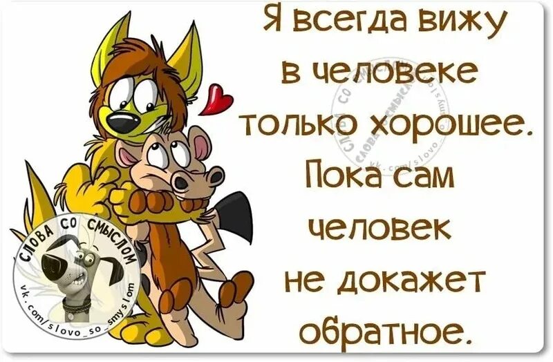 Смешные высказывания для настроения. Фразы про хорошее настроение. хорошее настроение цитаты. весёлые высказывания для поднятия настроения. фразы про настроение.