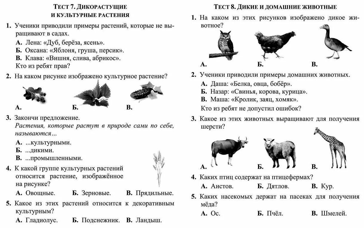 Тесты по теме природа человека