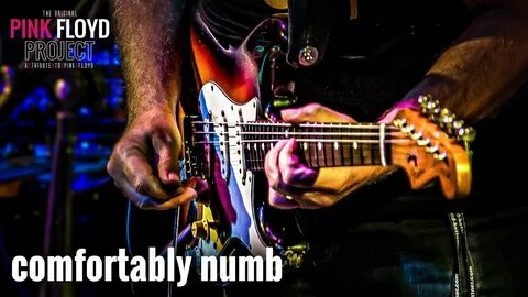 Pink floyd comfortably numb