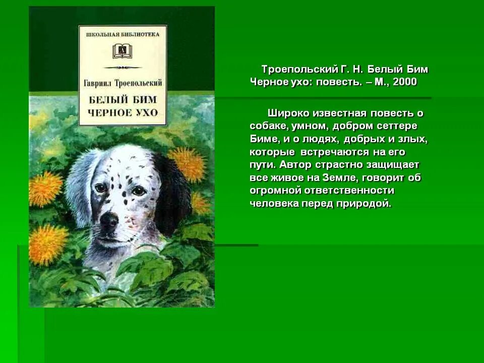 Содержание по главам белый бим черное ухо. Произведение белый бим черное ухо. повесть троепольского белый бим черное ухо. г. троепольский «белый бим. рассказ белый бим.