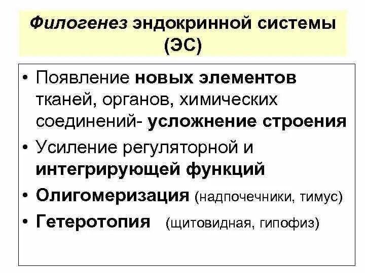 Филогенез систем. Филогенез эндокринной системы. Основные этапы филогенеза эндокринной системы.. Эволюция развития эндокринной системы. Филогенез эндокринной системы. Функция эндокринной системы..