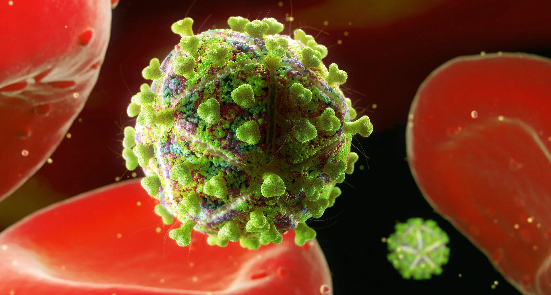 Спид вызван вирусом. СПИД бактерия. Вирус СПИДА. ВИЧ фото вируса.