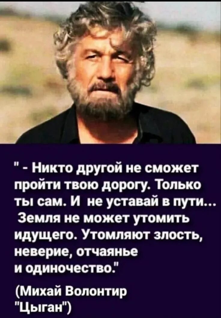 Он сам и никто другой. Стихи никому не нужна. Он сам и никто другой. Просто ты умела ждать как никто. Он сам и никто другой.