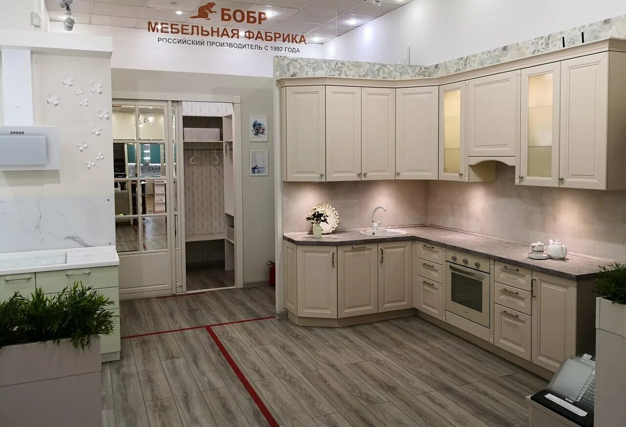 воронежский заповедник речной бобр. канадский бобр. бобр отзывы. бобр речной обыкновенный. европейский речной бобр.